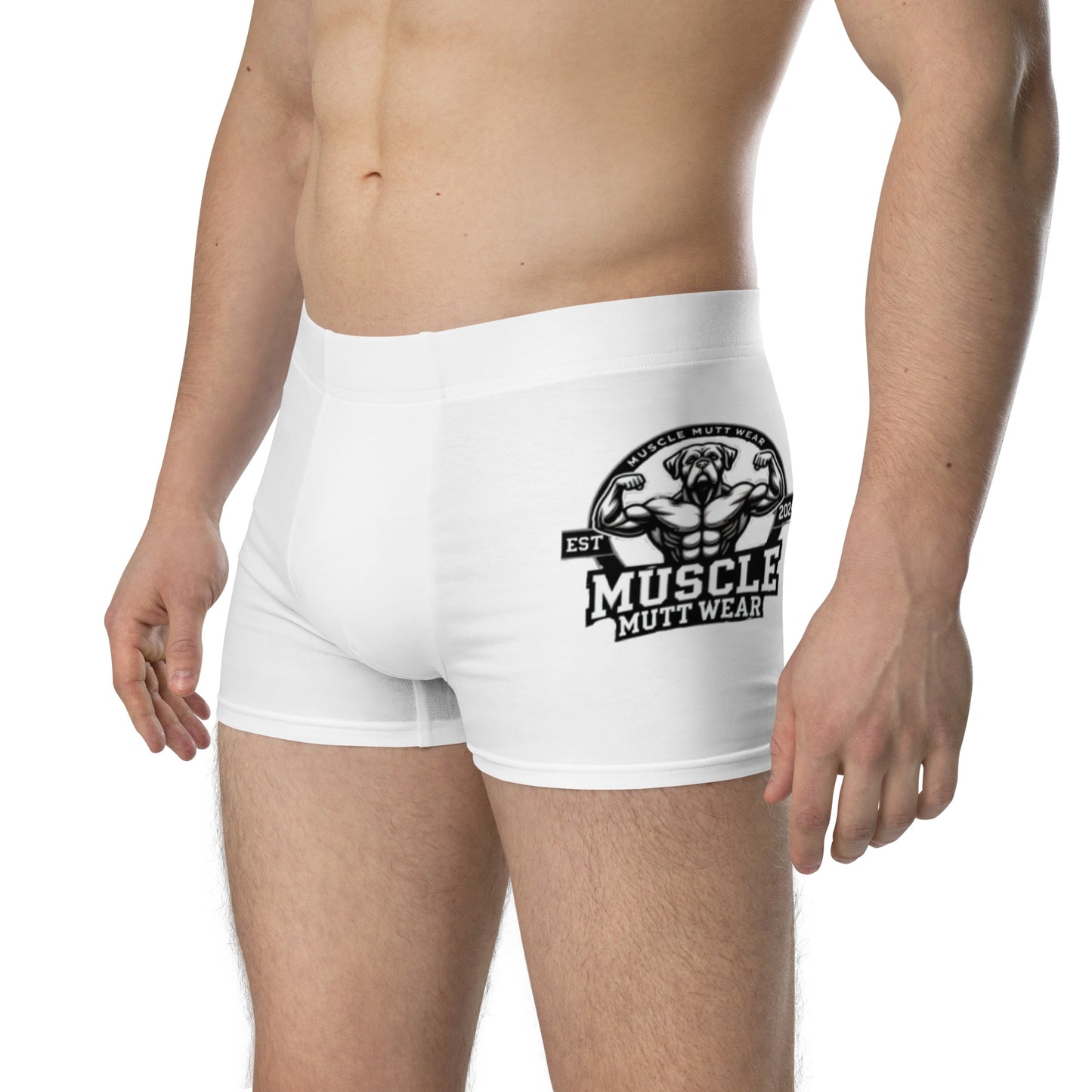 Dalmatian Boxer Briefs