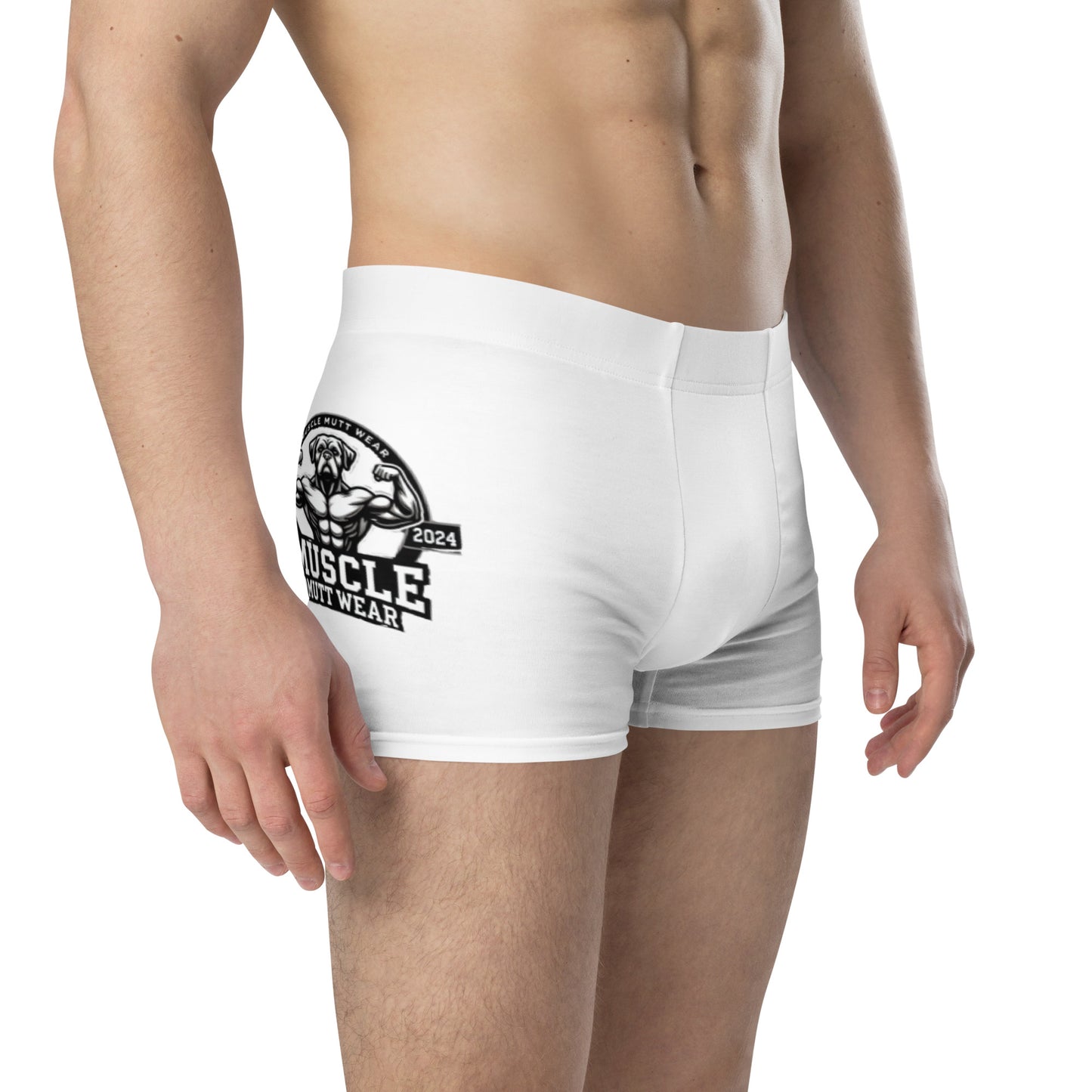 Dalmatian Boxer Briefs