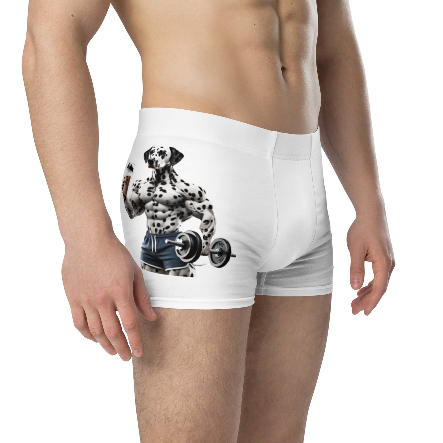 Dalmatian Boxer Briefs